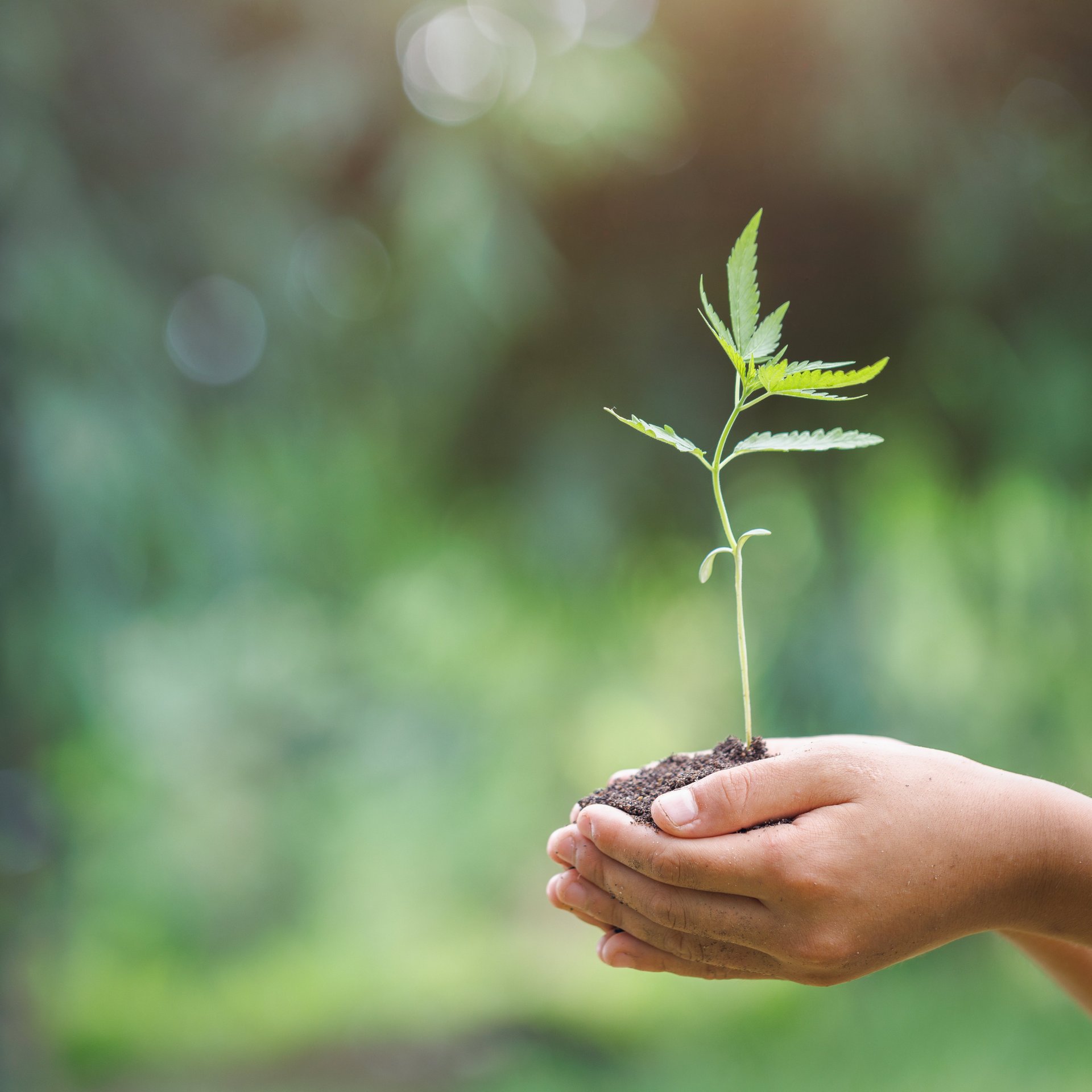 Wir setzen uns ein für eine nachhaltige Produktion und den Klimaschutz - Colasit