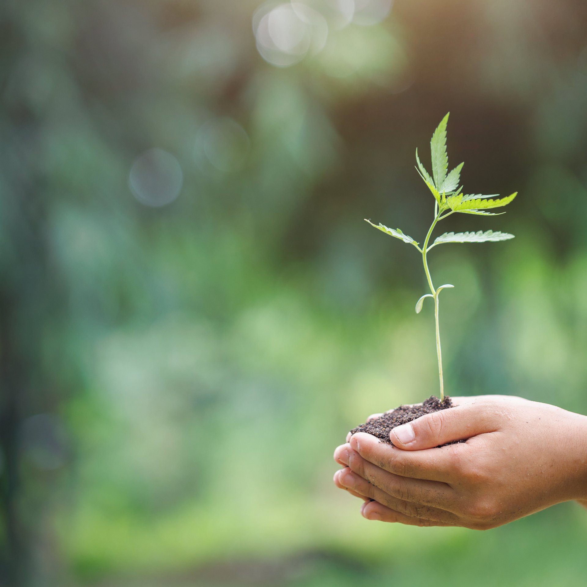 Sustainability approach in production and climate protection - Colasit