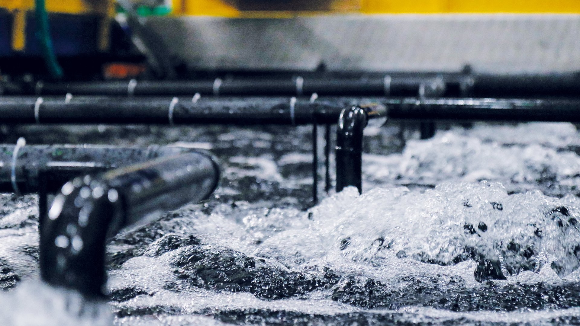 Aquakulturanlagen für eine nachhaltige Fischzucht und Zucht von Meeresfrüchten und Wasserpflanzen - Colasit